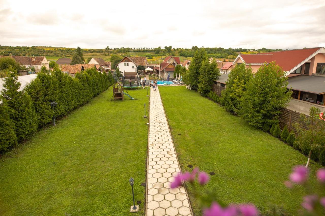 Pensiunea Sachsenhof Bagaciu Exterior photo